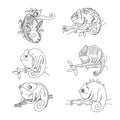 Set of funny cute phlegmatic chameleons on a branch with leaves, for logo or emblem